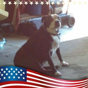 Meet your Posher, Richard